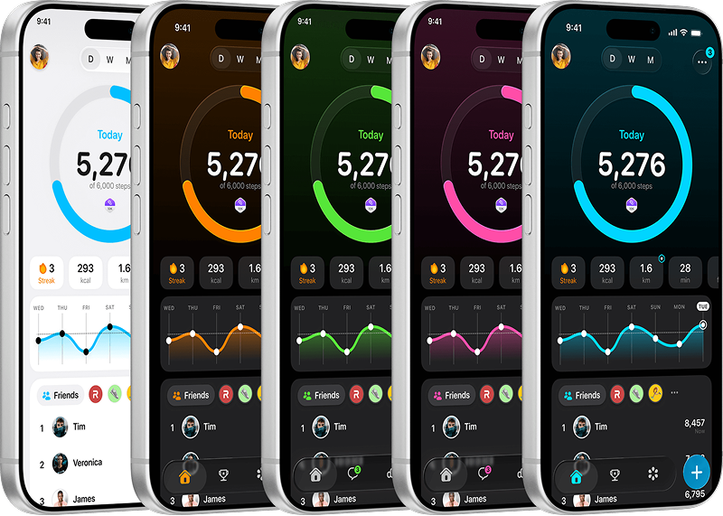 StepsApp Color Themes
